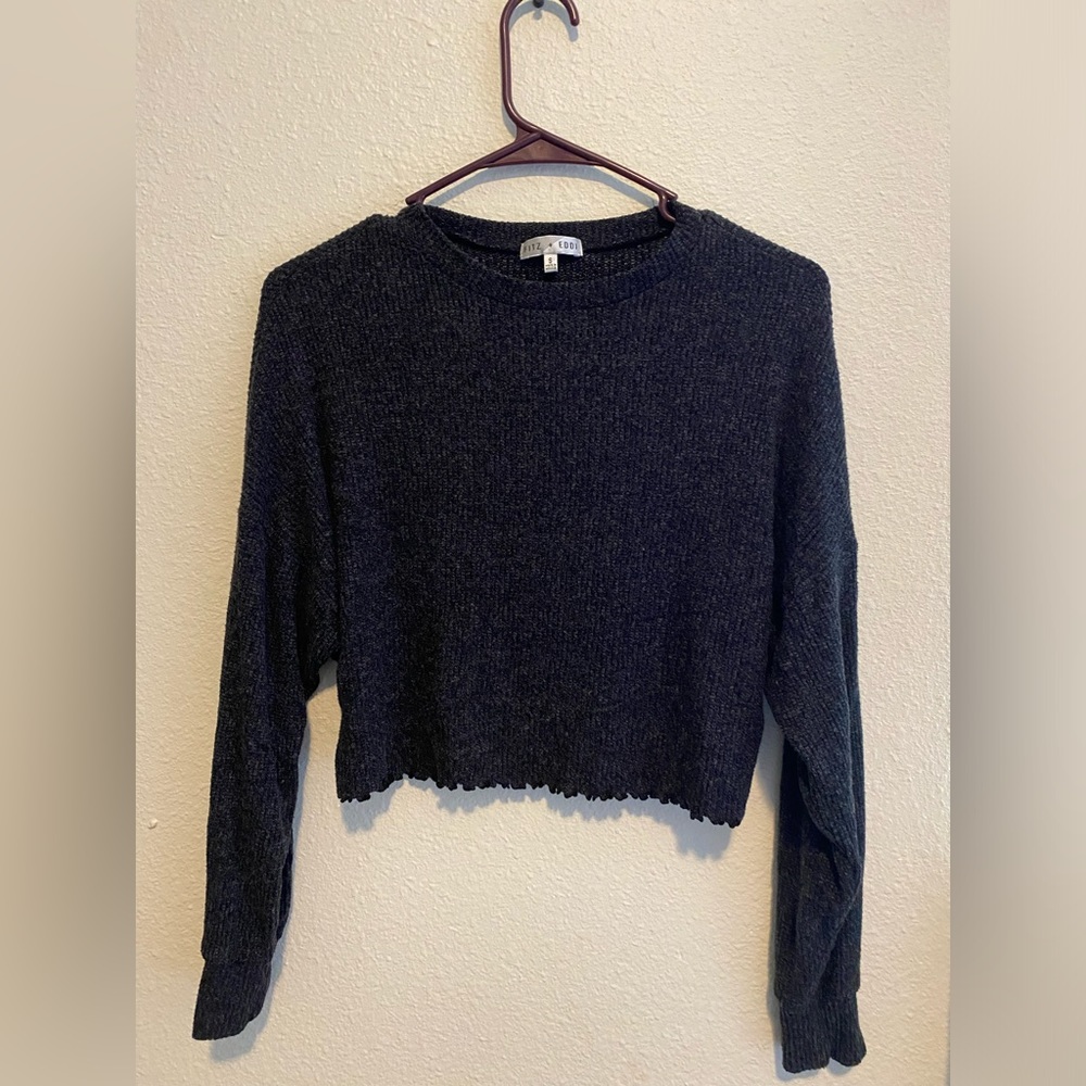 Fitz and Eddi crop top